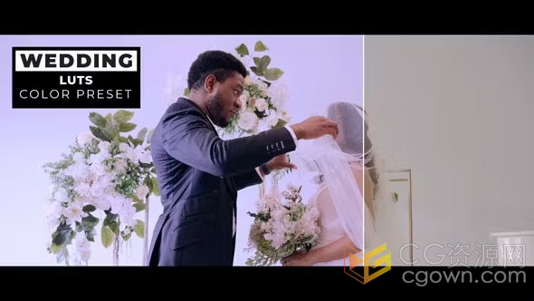 12个清新素雅婚礼LUT视频调色预设免费素材