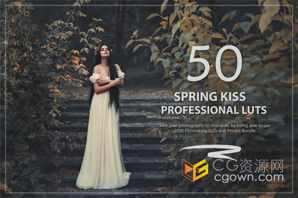 50个温馨偏灰暗色调Spring Kiss LUT 和预设包