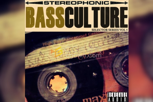Bass Culture雷鬼低音线各种打击混响鼓吉他琴键循环演奏贝斯音频下载