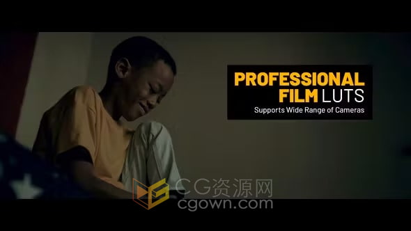 16个专业电影LUT 和 42 个“Log to Rec 709”LUT预设文件下载