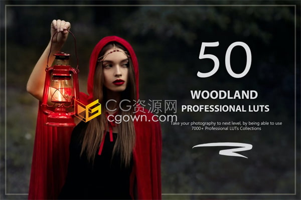 50个适合森林田野林地自然景观调色预设Woodland LUTs