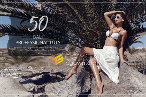50个热带岛屿沙滩海边巴厘岛旅拍人像视频剪辑调色LUT和预设包