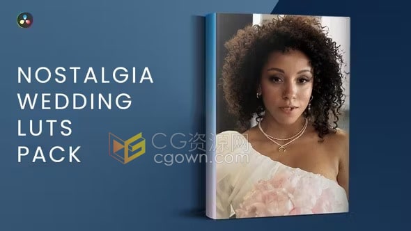 10个怀旧婚礼调色Luts预设干净复古视频调色滤镜