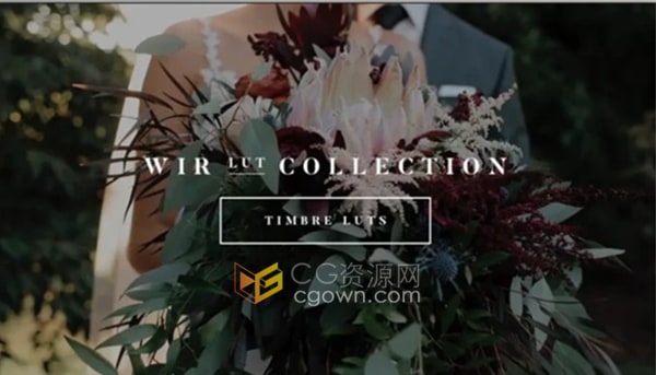 柔和暖色调婚礼调色预设LUTS突显健康的肤色和镜头感