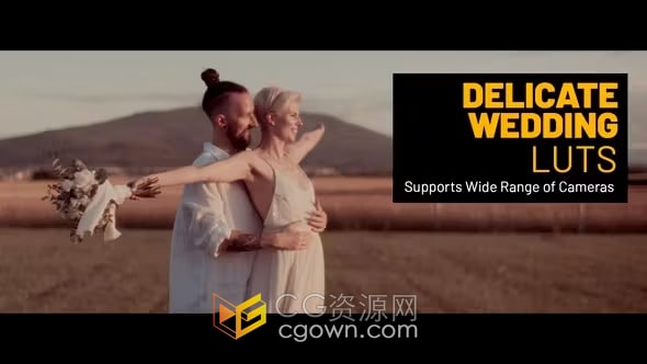 免费下载15个精致婚礼LUT和42个 LOG-REC 709 转换 LUT