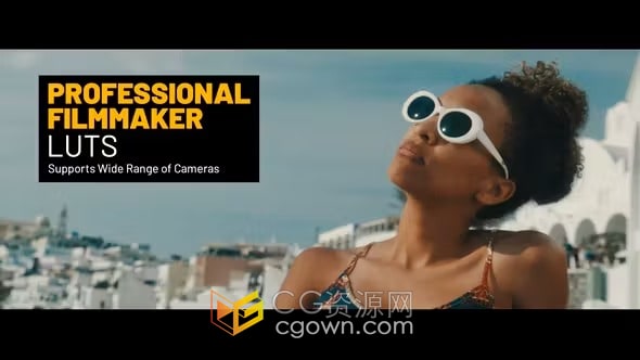 15个专业电影调色LUT预设和 42 个“Log to Rec 709”LUT