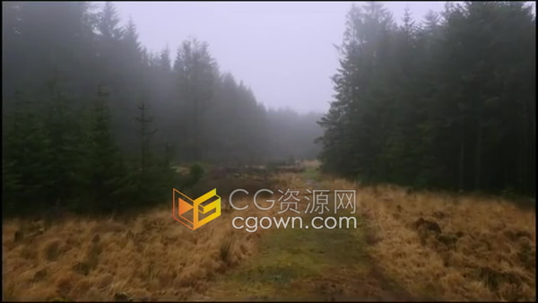 实拍穿越荒地松林地石头小路的航拍画面视频素材4K