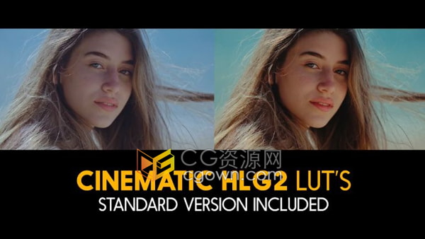 21个现代时尚电影大片级Cinematic HLG2和专业调色预设Standard Luts