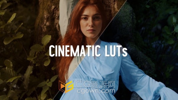 50个创意电影级视频调色预设Cinematic Color LUTs