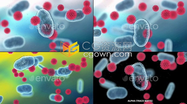 视频素材抗新型冠状病毒抗体疫苗细胞变化动画效果视频