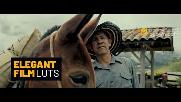 免费下载10个电影胶片质感视频调色滤镜Elegant Film LUT