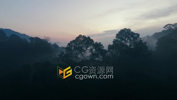航拍黎明时分云雾缭绕神秘的热带雨林景观视频素材下载