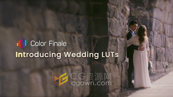 30个现代宴会婚礼调色 .cube格式的LUT预设下载