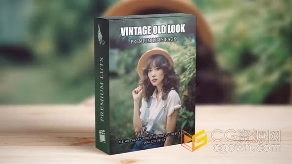 经典怀旧复古富士胶片好莱坞电影风格调色预设LUT