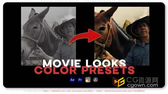 25个适用于DJI Mavic Pro 3 的专业彩色电影LUT调色预设