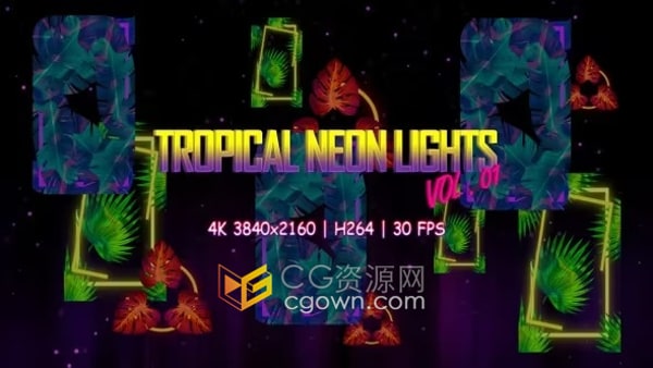 热带叶子元素霓虹灯VJ循环俱乐部音乐会表演派对屏幕背景视频素材