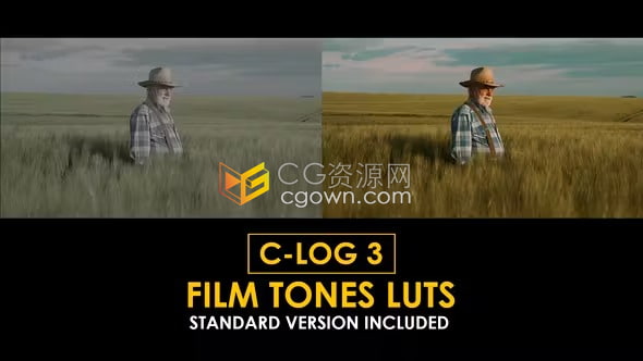 免费下载18个胶片色调Canon C-Log3 和标准LUT