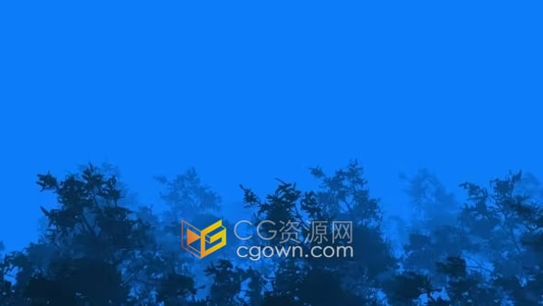 蓝色云雾背景强风树木弯曲摇摆风雨如磐剪影树背景视频素材