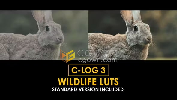 免费下载适合野生动物图像视频的调色LUT预设