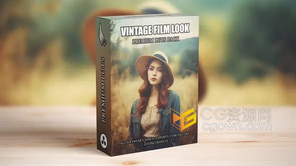 经典永恒老派好莱坞复古柯达电影胶片LUT调色