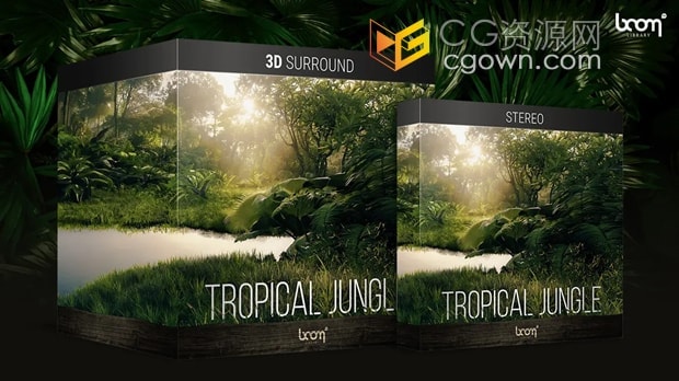 沉浸式丛林和雨林环境氛围3D立体声无损音效素材