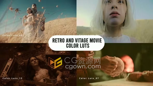 30个专业复古和经典老式电影色彩Luts调色预设下载