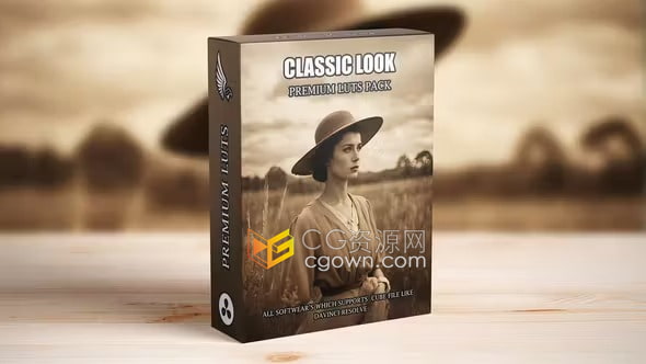 10种经典复古怀旧色彩和色调LUT调色预设免费下载