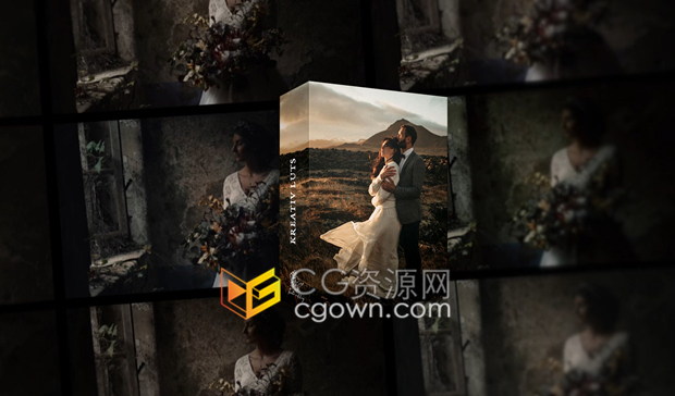 New Wedding LUTs 30组高质量cube预设婚礼视频调色效果