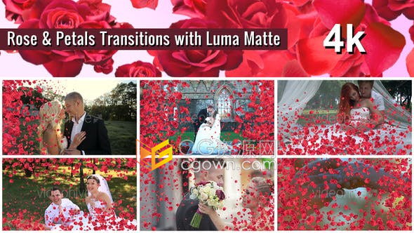4K视频素材-7种效果玫瑰花瓣动画过渡制作视频转场效果