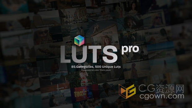 LUTs Pro专业调色预设包包含500个适用于各种视频和图像使用