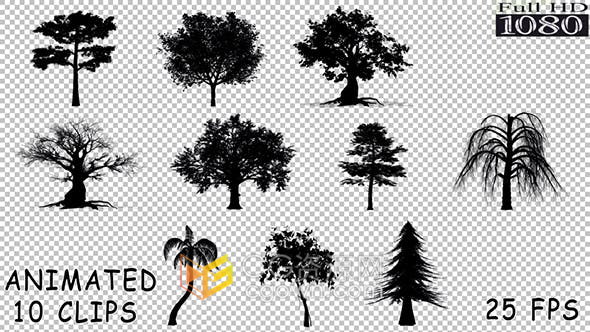 视频素材-10种不同种类的树木轮廓剪影动画效果素材