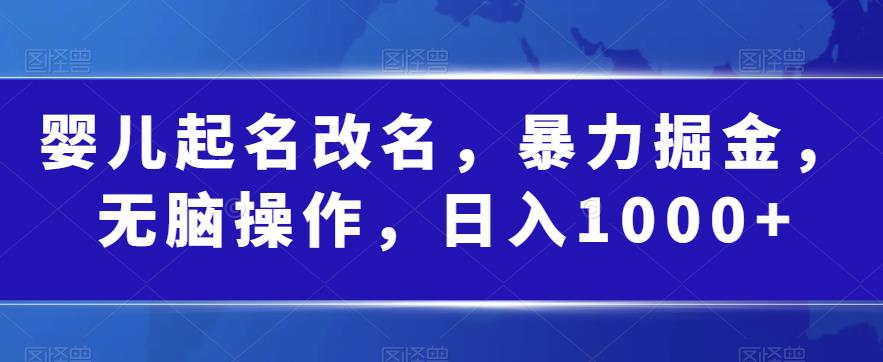 婴儿起名改名,暴力掘金,无脑操作,日入1000+【揭秘】