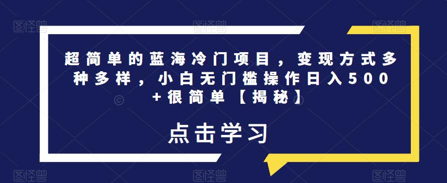 超简单的蓝海冷门项目,变现方式多种多样,小白无门槛操作日入500+很简单【揭秘】