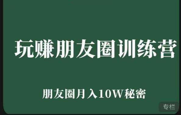 玩赚朋友圈系统课,朋友圈月入10W的秘密,?7天系统图文课程