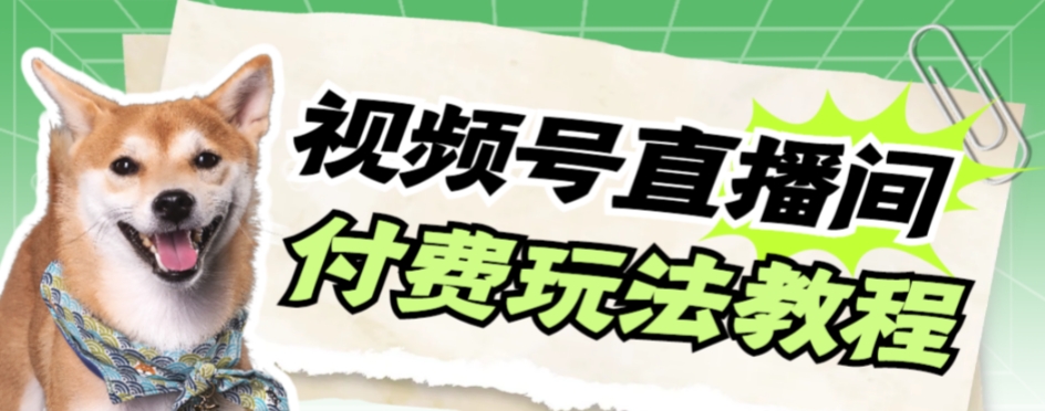 视频号美女付费无人直播,轻松日入500+【详细玩法教程】