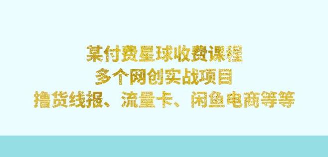 某付费星球课程:多个网创实战项目,撸货线报、流量卡、闲鱼电商等(文档非视频)