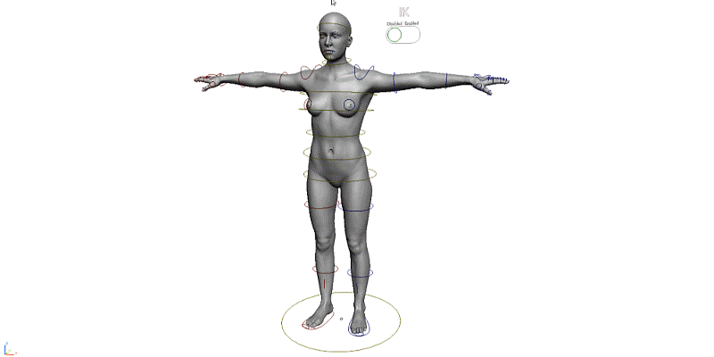 Sculptors Toolbox Basemeshes Blender女性角色绑定