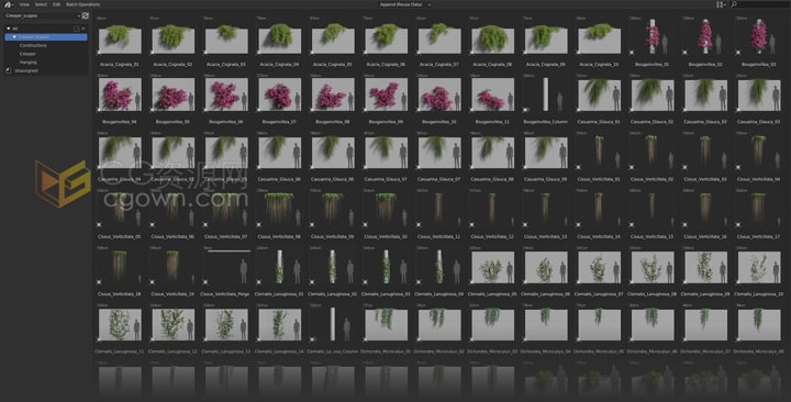 Blender插件Creeper Scapes攀爬植物景观模型