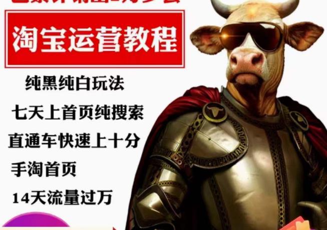 猫老师·淘系算法逆向解密,?纯黑纯白玩法,七天上首页纯搜索,手淘首页14天流量过万