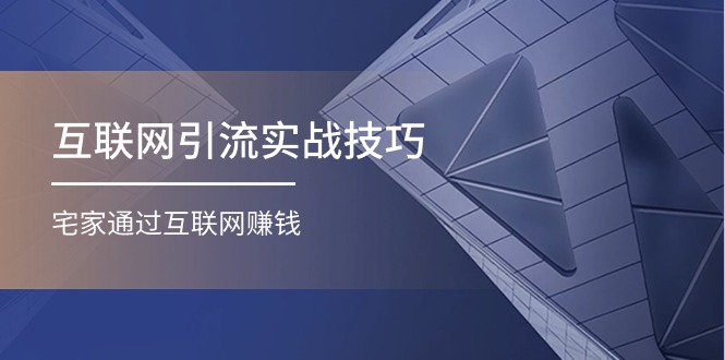 (11108期)互联网引流实操技巧(适合微商,吸引宝妈),宅家通过互联网赚钱(17节)
