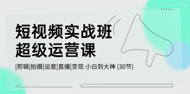 (10836期)短视频实战班-超级运营课,|剪辑|拍摄|运营|直播|变现 小白到大神 (30节)