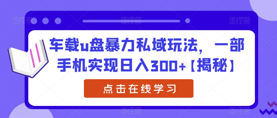 车载u盘暴力私域玩法,一部手机实现日入300+【揭秘】