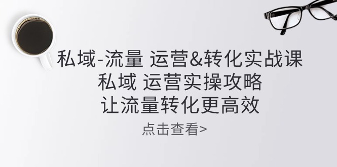 (10739期)私域-流量 运营&转化实操课:私域 运营实操攻略 让流量转化更高效