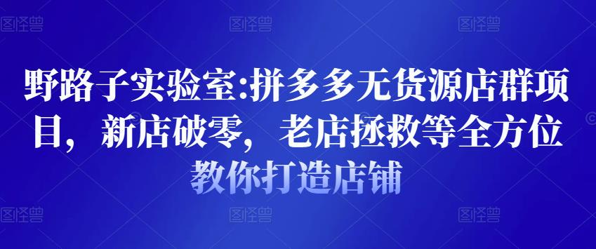 野路子实验室:拼多多无货源店群教程,新店破零,老店拯救等全方位教你打造店铺