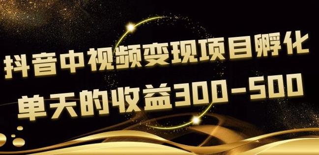 黄岛主抖音中视频变现项目孵化,单天的收益300-500操作简单粗暴