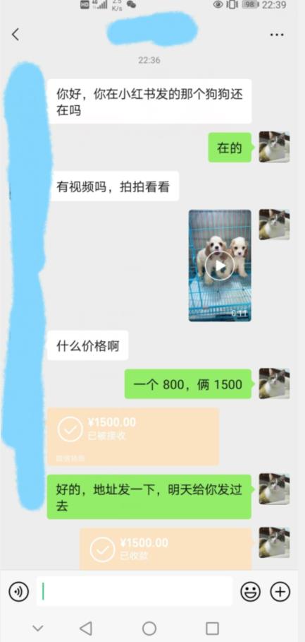 外边收费3980的同城萌宠项目,用最冷门的玩法冲击最热门的市场【揭秘】