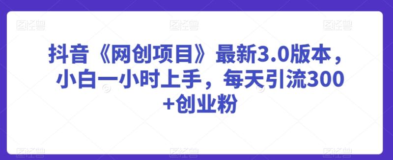 抖音《网创项目》最新3.0版本,小白一小时上手,每天引流300+创业粉【揭秘】