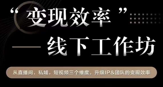 变现效率线下工作坊,从?播直?间、私域、?视短?频?个三?维度,升级IP和团队变现效率