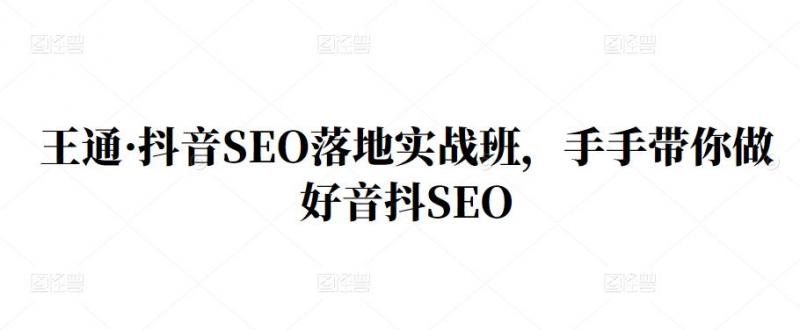 王通·抖音SEO落地实战班,手?手带你做好音抖??SEO