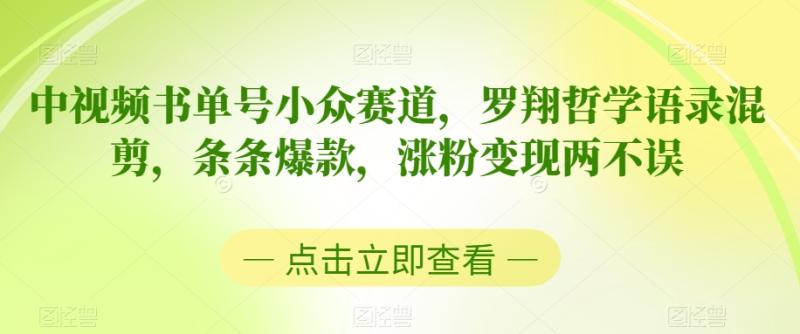 中视频书单号小众赛道,罗翔哲学语录混剪,条条爆款,涨粉变现两不误【揭秘】